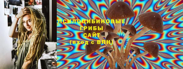 крисы Белокуриха