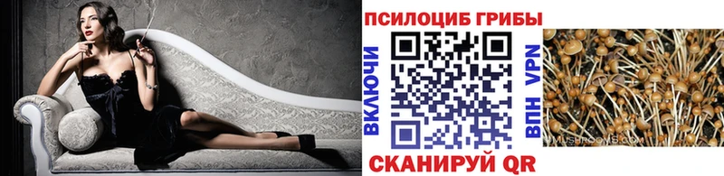 Галлюциногенные грибы ЛСД  OMG ссылка  Ковдор 